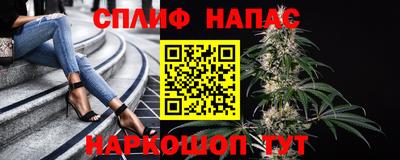 мдпв Ипатово