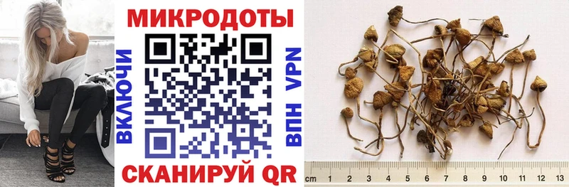 где можно купить Ульяновск Псилоцибиновые грибы ЛСД