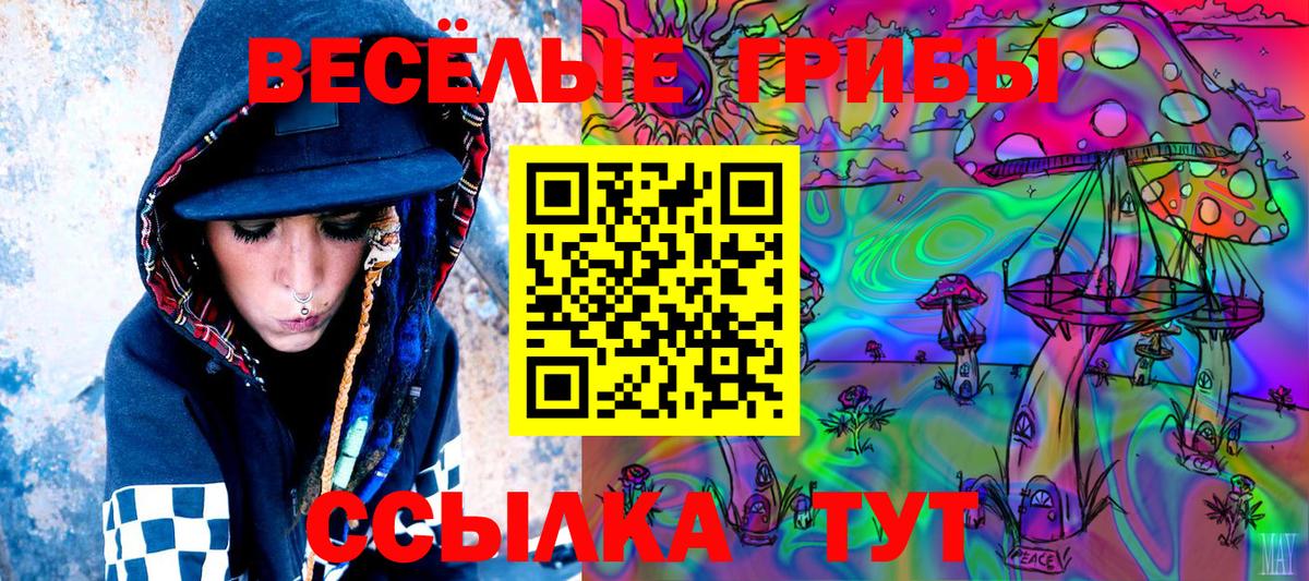 Галлюциногенные грибы прущие грибы Ульяновск