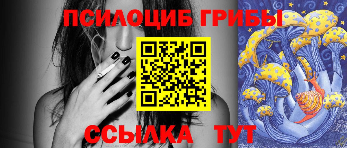 Псилоцибиновые грибы Psilocybine cubensis Ульяновск