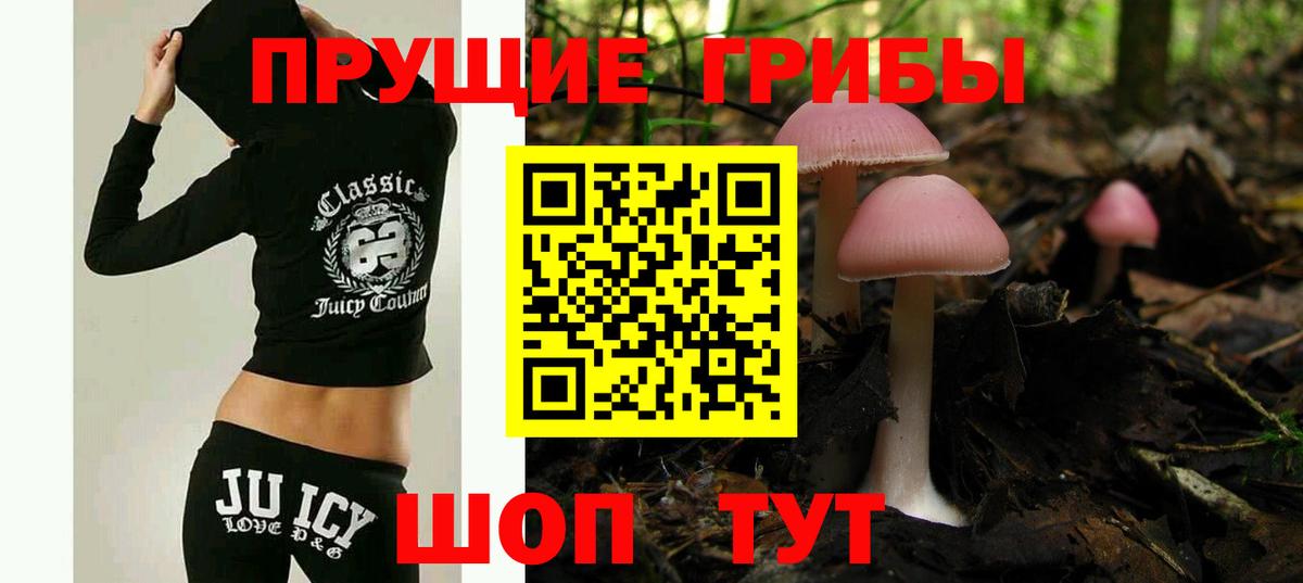 Ульяновск  Псилоцибиновые грибы MAGIC MUSHROOMS  Вход с VPN 